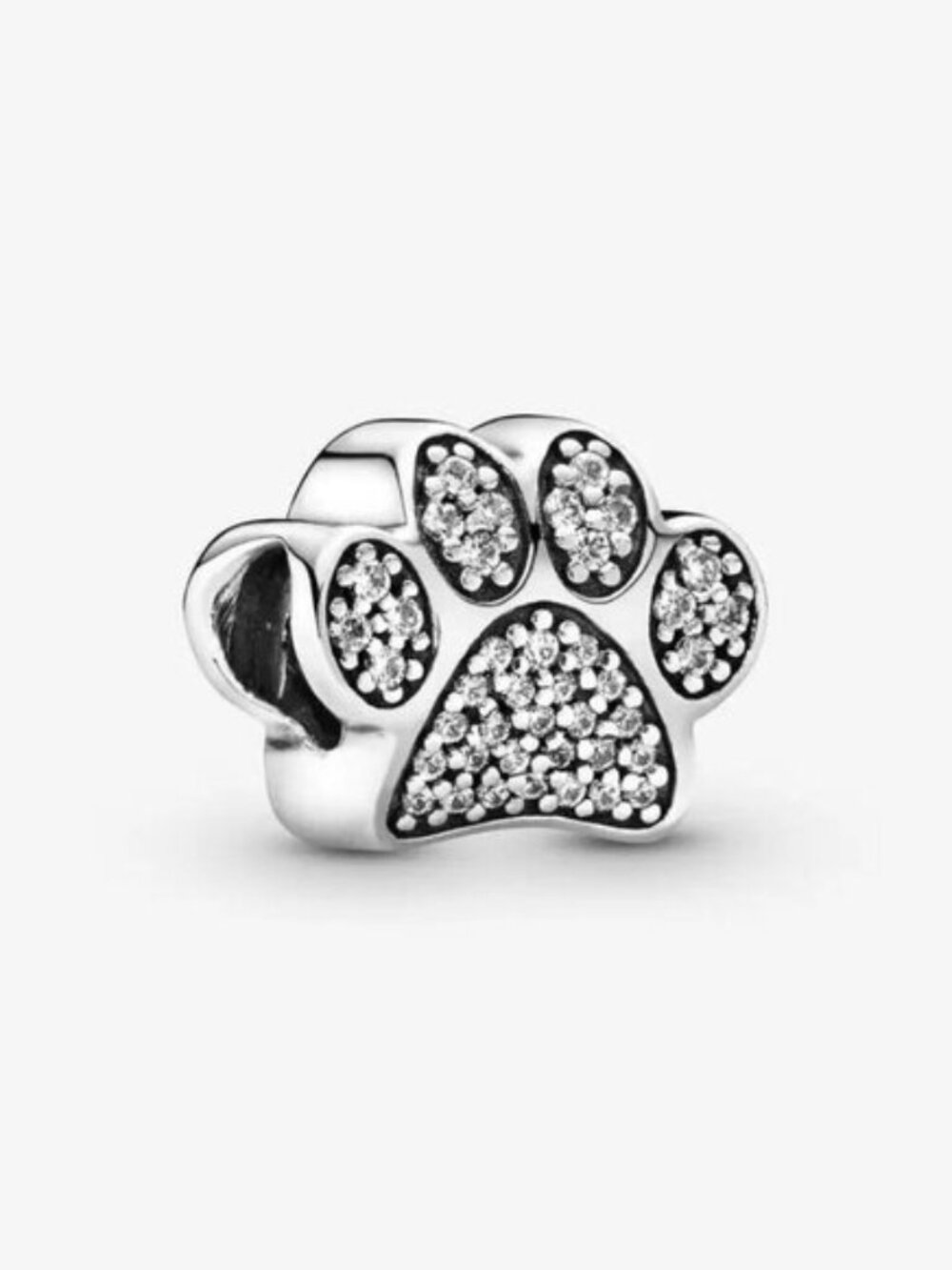 Pandora Charms